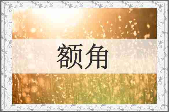 额角