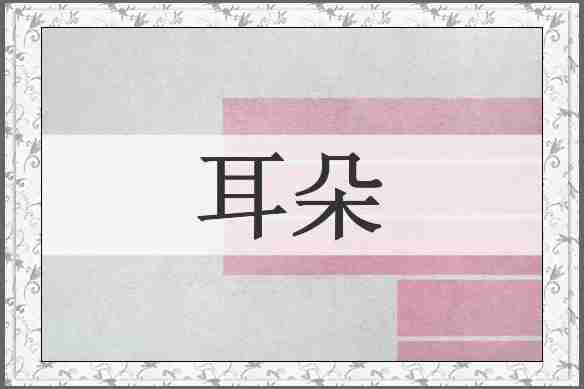 耳朵