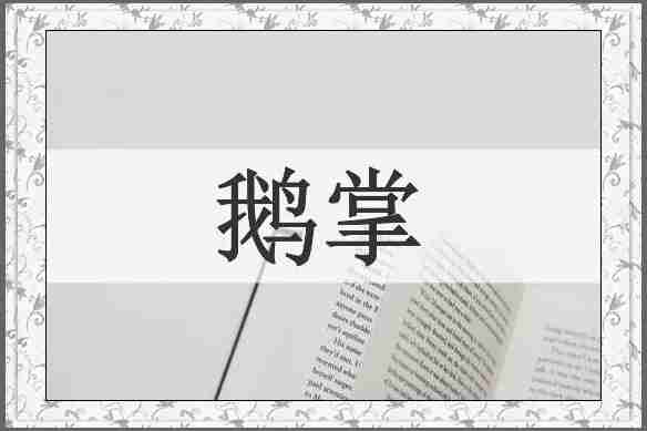鹅掌