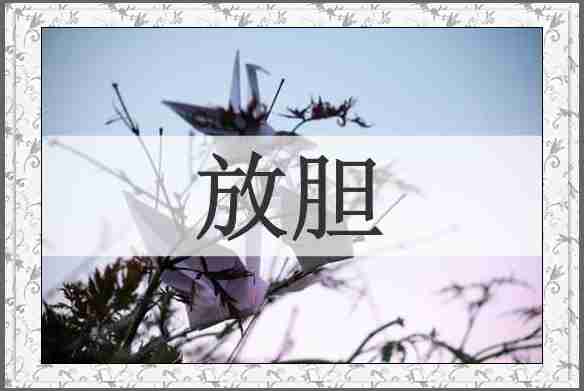 放胆
