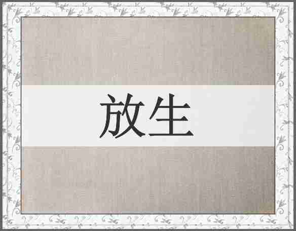 放生