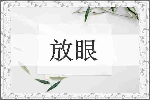 放眼