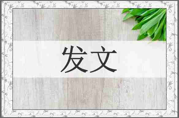 发文