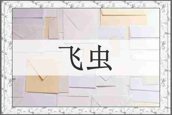 飞虫