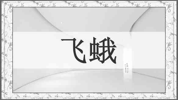 飞蛾