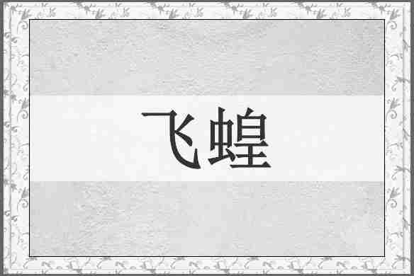 飞蝗