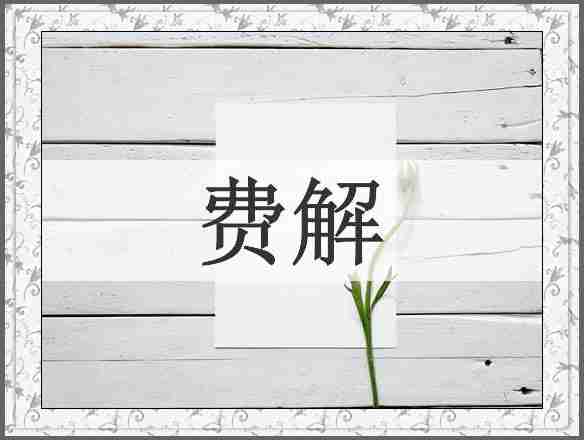 费解