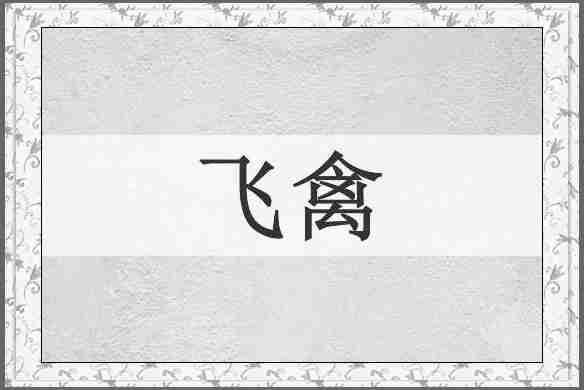 飞禽