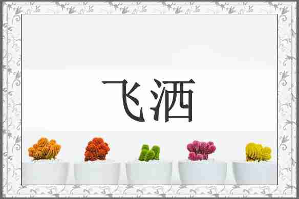 飞洒