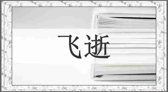 飞逝