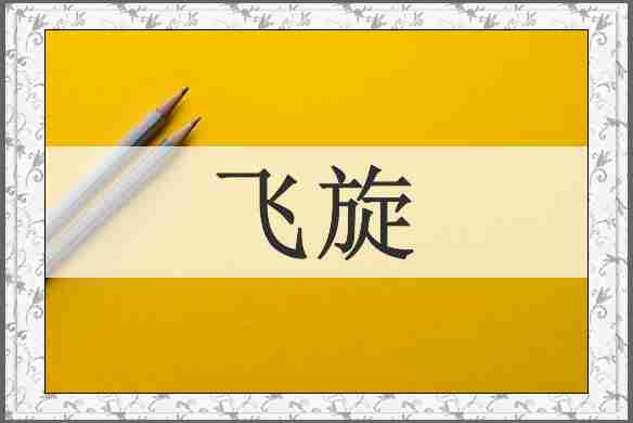 飞旋