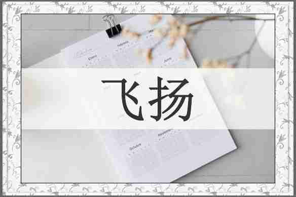 飞扬