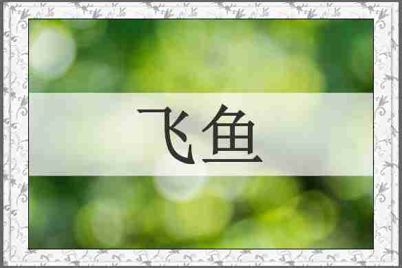 飞鱼