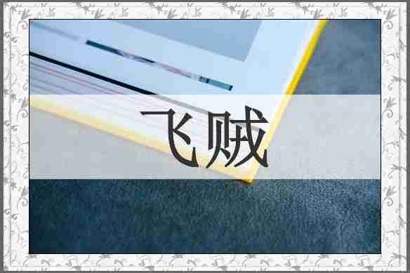 飞贼