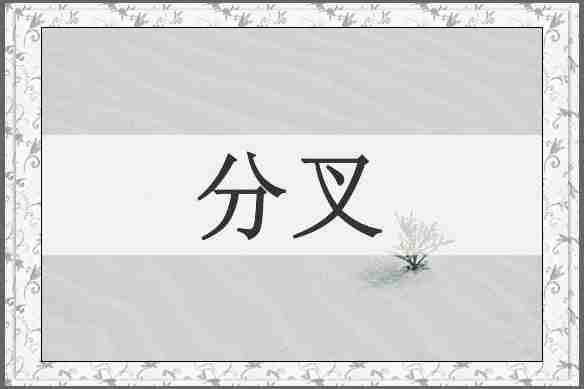 分叉