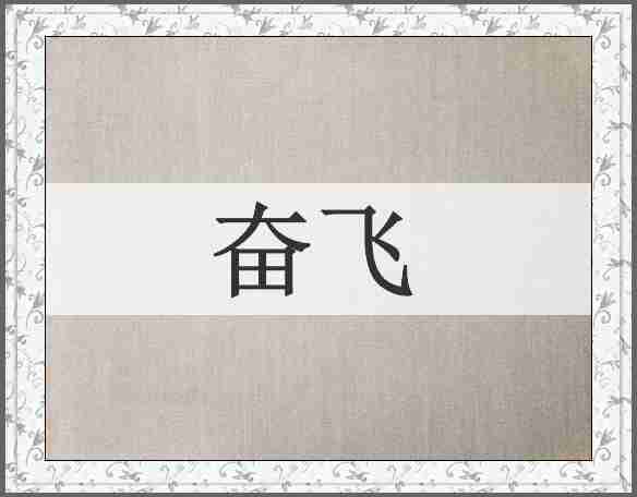 奋飞
