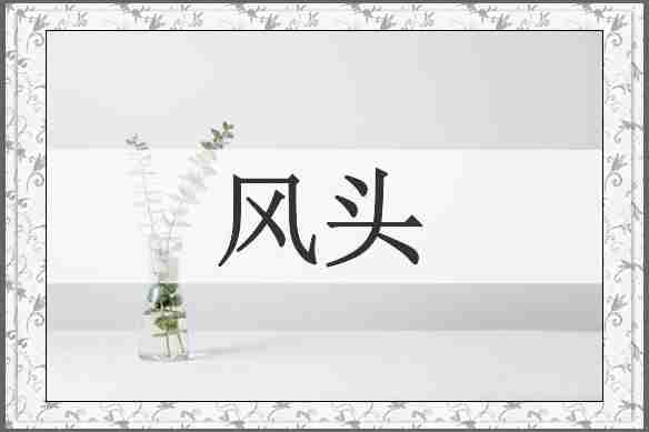 风头