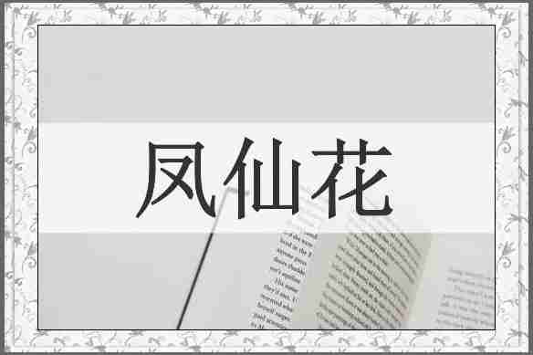 凤仙花