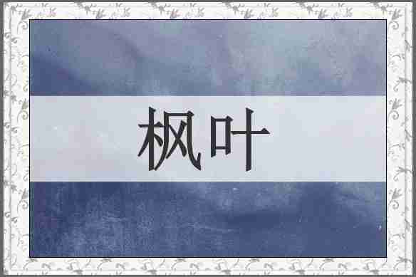 枫叶
