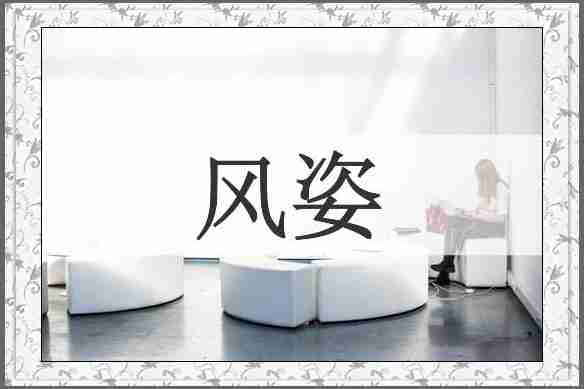 风姿