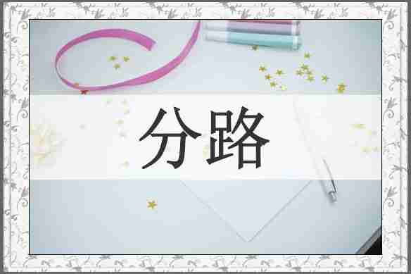 分路