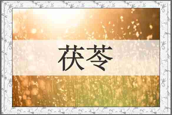 茯苓