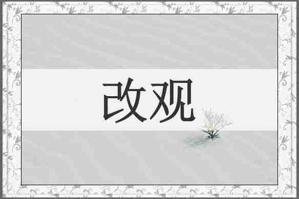 改观