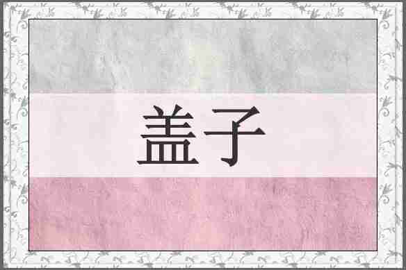 盖子