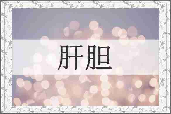 肝胆
