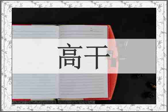 高干
