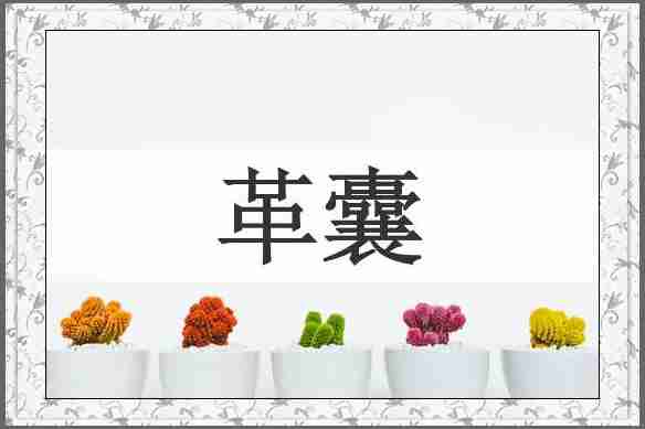 革囊