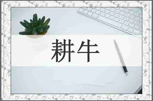 耕牛