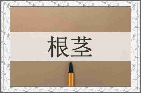 根茎
