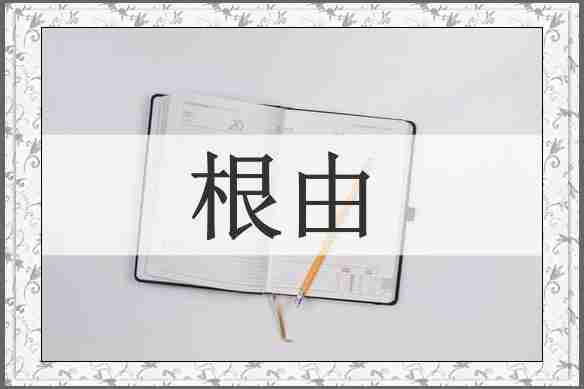 根由