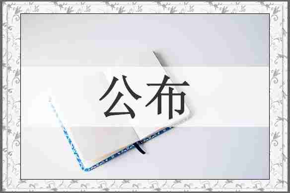 公布