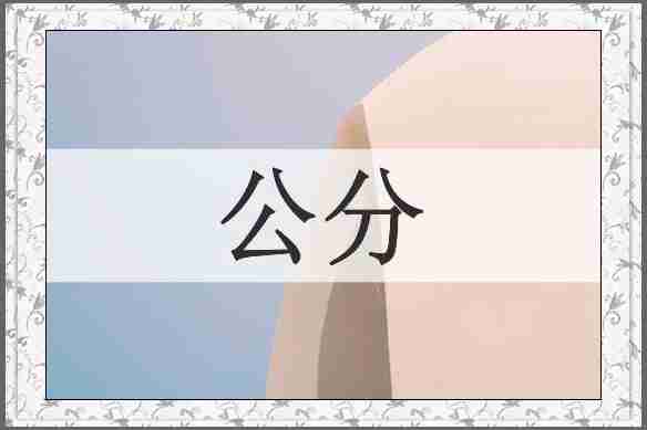 公分