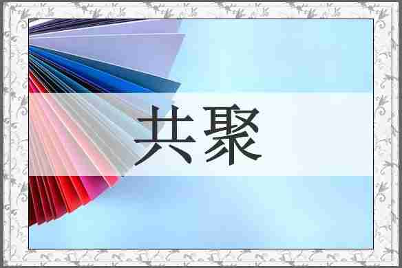 共聚
