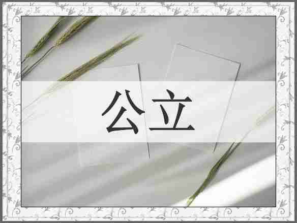 公立