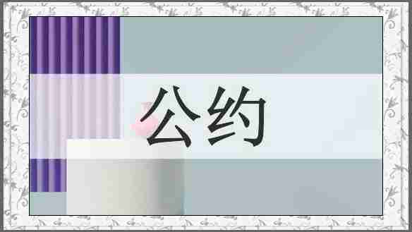 公约