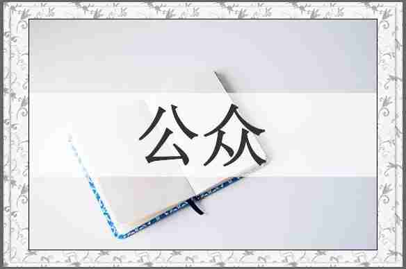 公众