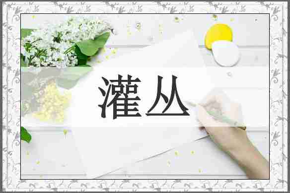 灌丛