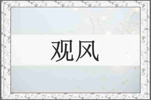 观风