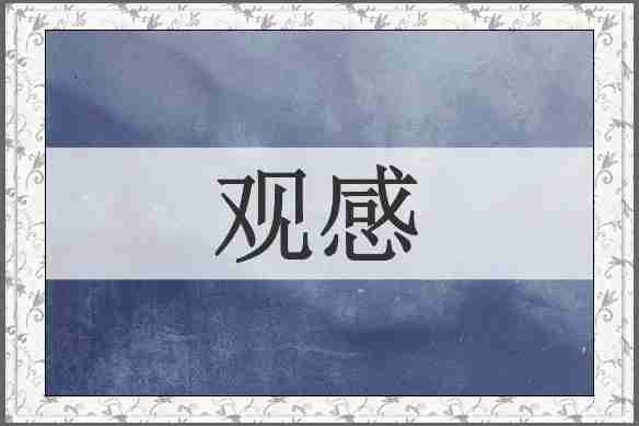 观感