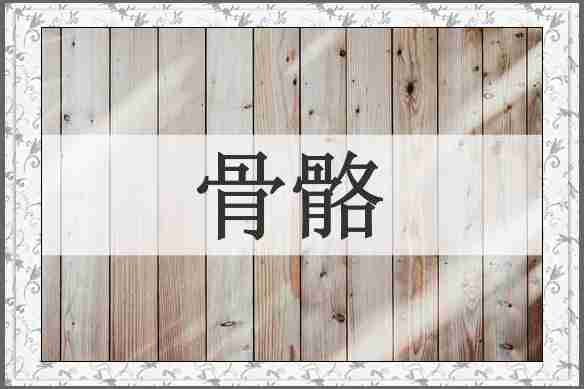 骨骼
