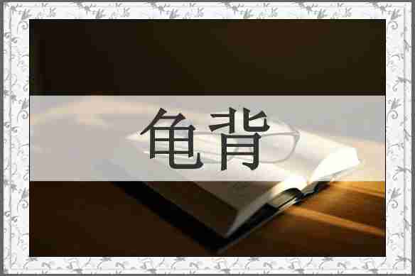 龟背