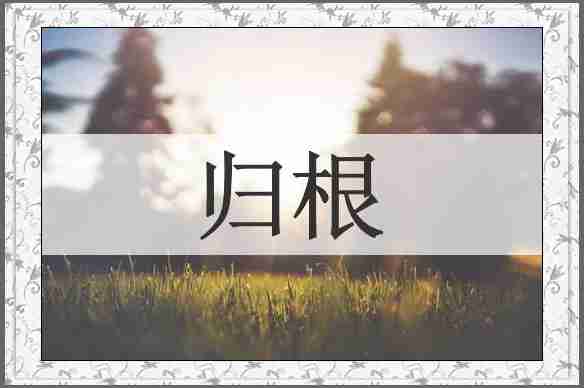 归根