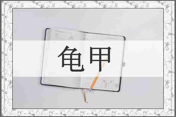 龟甲