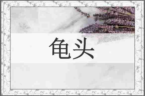 龟头