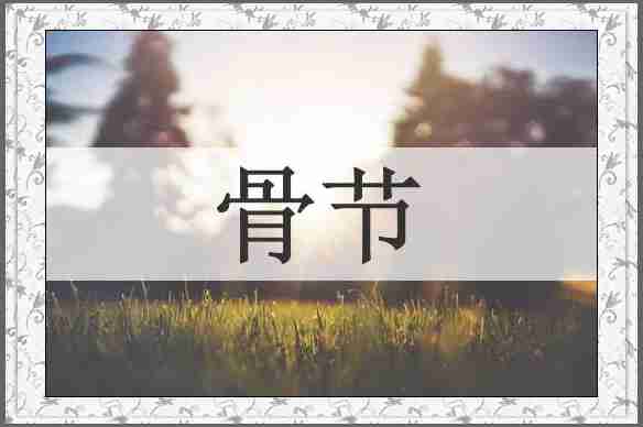 骨节