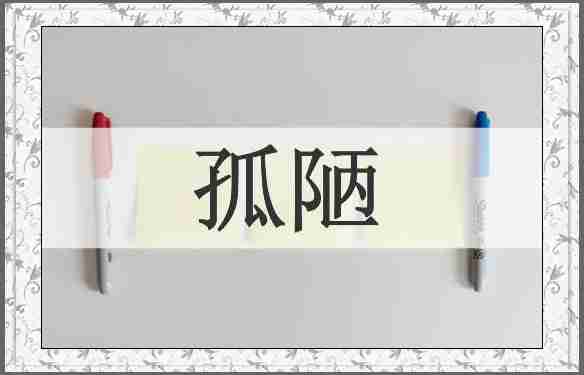 孤陋